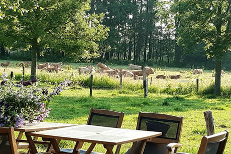 uitzicht vanuit de locatie